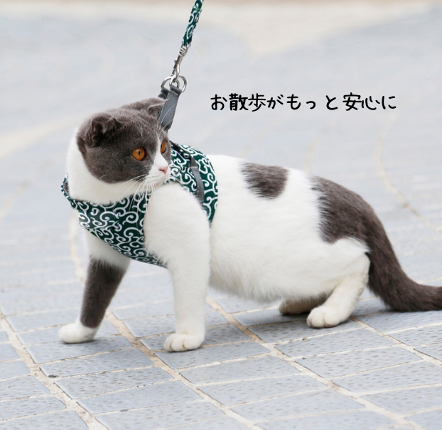 猫用ベスト型ハーネス＆リードセット｜脱走防止・通気性メッシュ・安全フィット